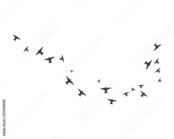 Fototapeta Bird Logo Template vector illustration