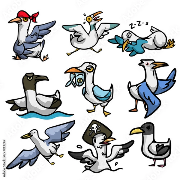 Fototapeta Set of cute and funny seagull character in different situation