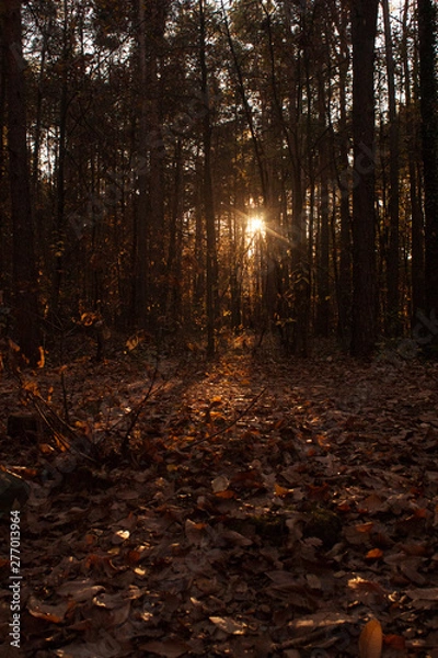 Obraz Wals im Herbst