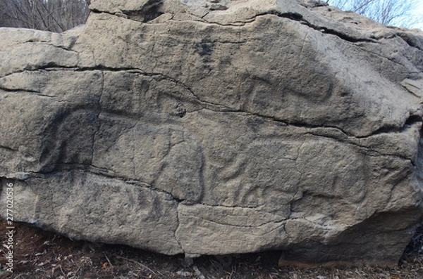 Fototapeta Petroglyphs of Sikachi-Alyan. Russia. Khabarovsk region