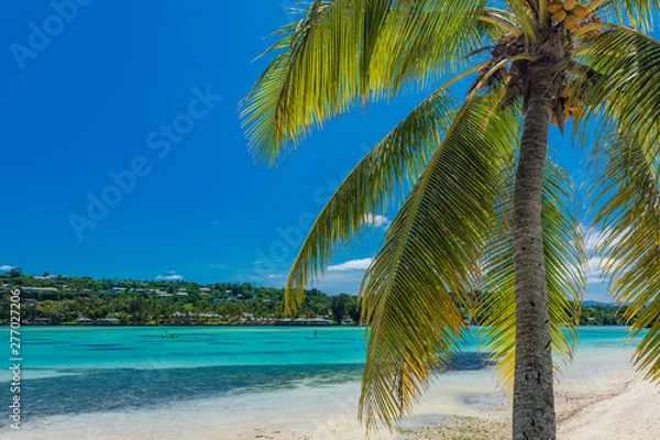 Fototapeta Palm trees on a tropical beach, Vanuatu, Erakor Island, Efate