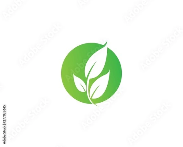 Fototapeta Logos of green leaf ecology nature element vector icon