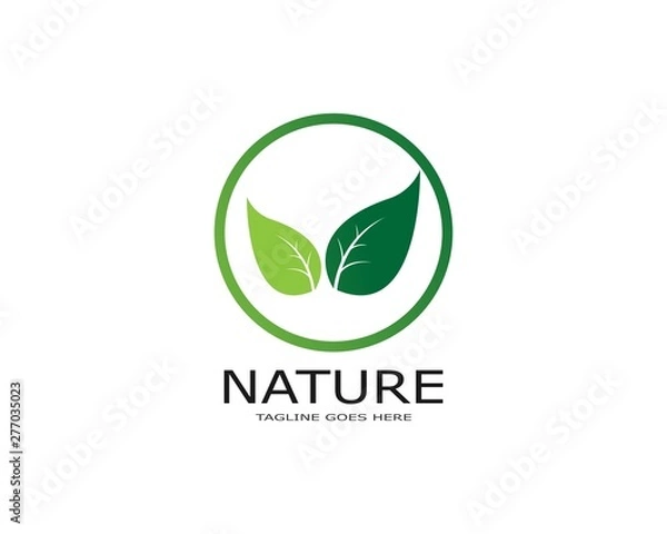 Obraz Logos of green leaf ecology nature element vector icon