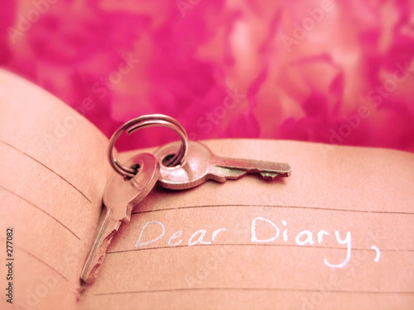 Obraz diary