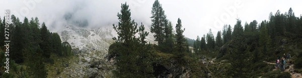 Obraz Bergpanorama Wald