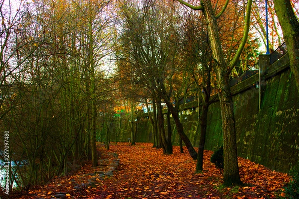 Fototapeta otoño