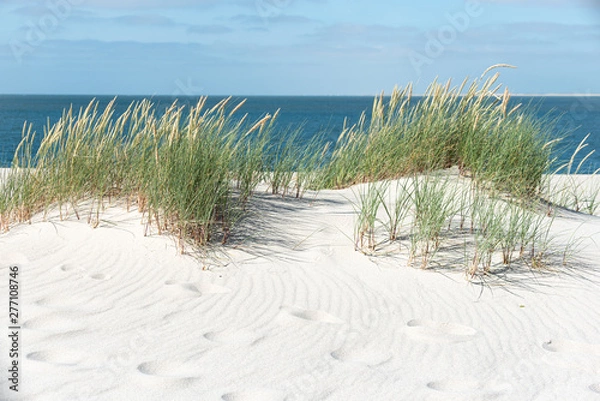 Obraz Dune with beach grass.