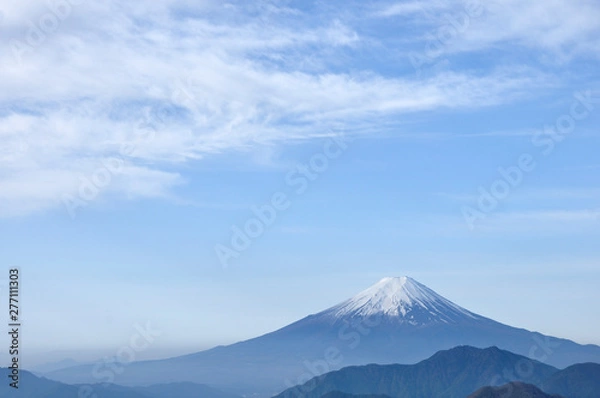 Fototapeta 春富士眺望コピースペース
