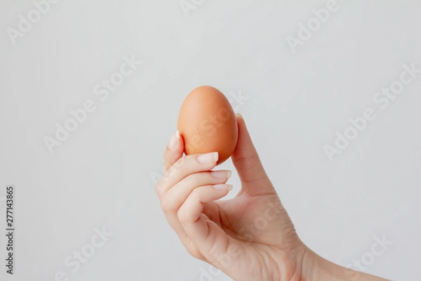 Obraz Hand holding egg on white background.