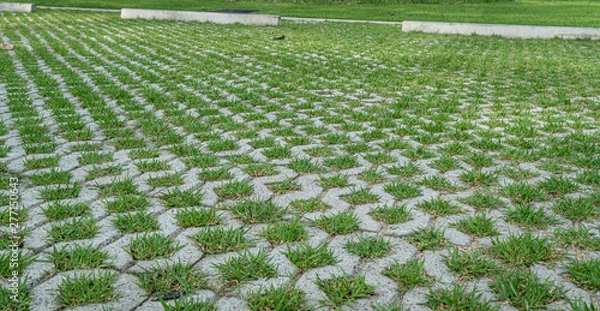 Obraz Concrete block floor with green grass