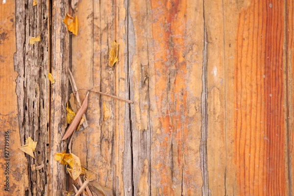 Fototapeta Orange wood texture background surface with old natural pattern and leaves