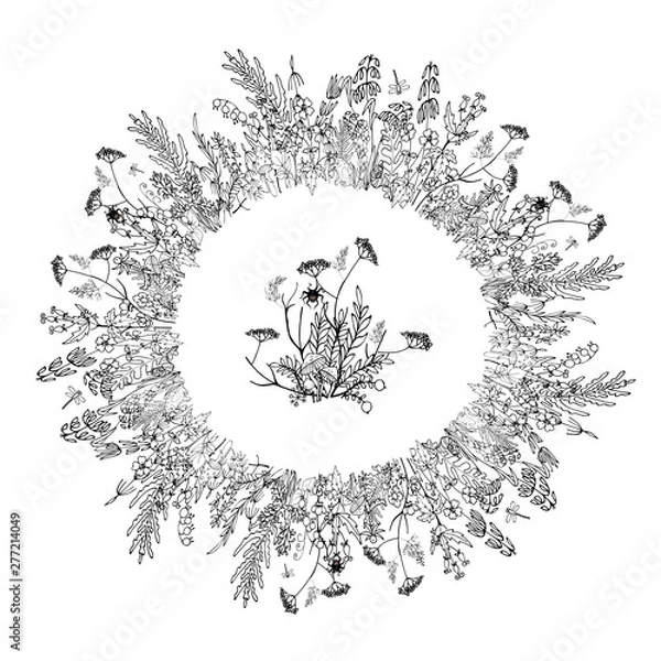 Fototapeta wild flowers and leaves in Doodle style, composition of  stylized wild plants, vector illustration on white background