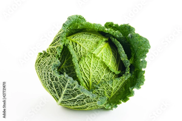 Obraz Savoy Capagage na białym tle