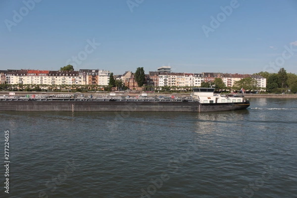 Obraz View fro the Rhine river