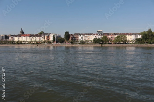 Obraz View fro the Rhine river