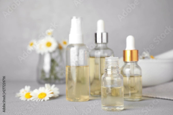 Fototapeta Bottles of chamomile essential oil and flowers on grey table, space for text