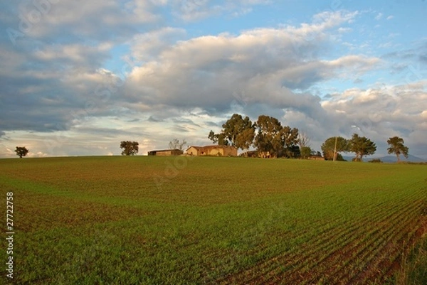 Obraz Campagna Romana