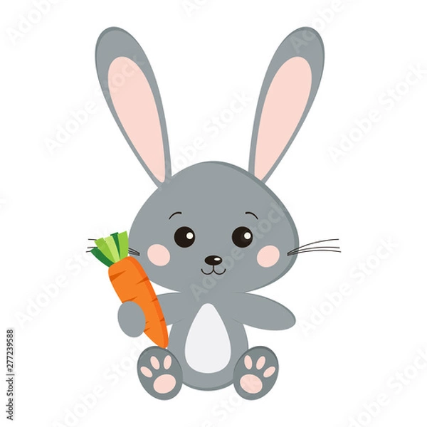 Fototapeta Image of sweet cute grey bunny rabbit in sitting pose with carrot in paw