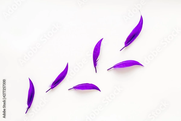 Fototapeta colorful feathers pattern on white background top view copyspace
