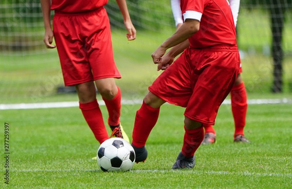 Fototapeta サッカー　フットボール