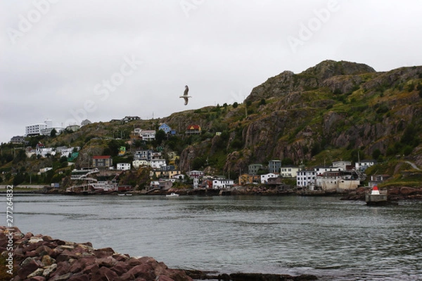 Fototapeta Coastal community in Newfoundland