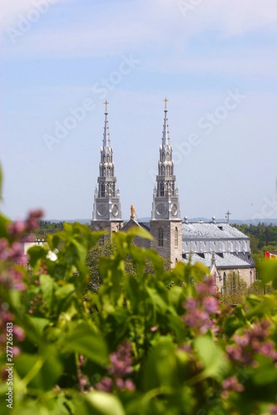 Fototapeta Lilac flowers with remote background of Notre Dame basilica in Ottawa, Canada