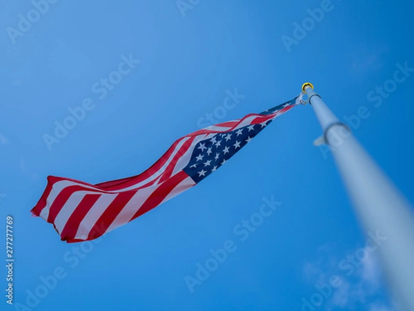 Obraz Waving American Flag