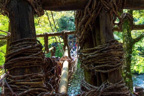 Obraz 徳島　かずら橋