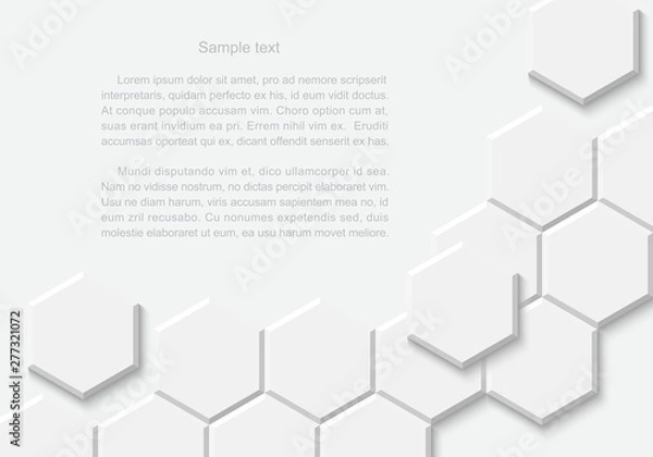 Fototapeta  Abstract white hexagonal background. Hexagon pattern and texture.