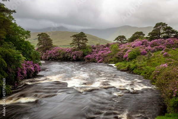Obraz Aasleagh Falls