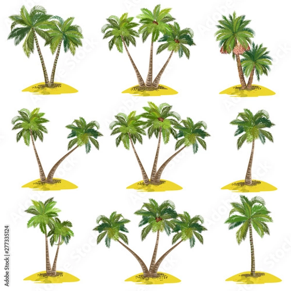 Obraz Zestaw palm (kokos, data, acai), realistyczne ilustracje wektorowe na białym tle.