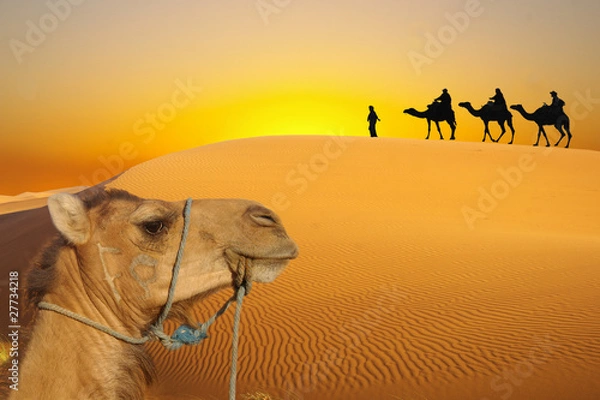 Fototapeta Sahara