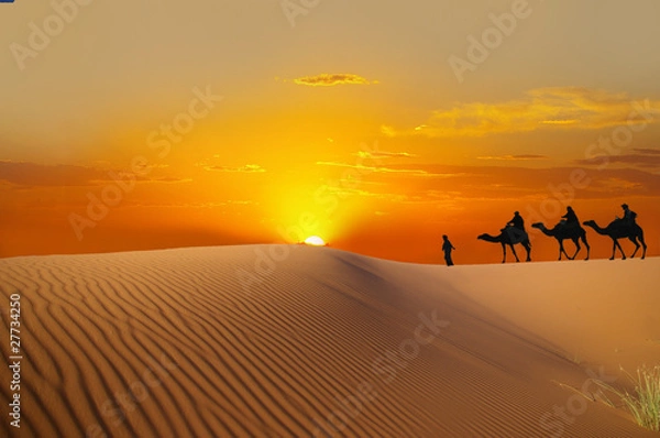 Obraz Sahara