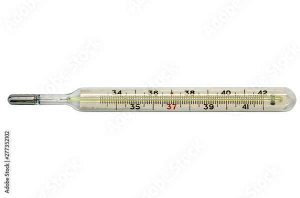 Obraz medical thermometer