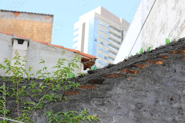 Obraz Bird in the Wall