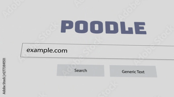 Fototapeta Internet Search Bar