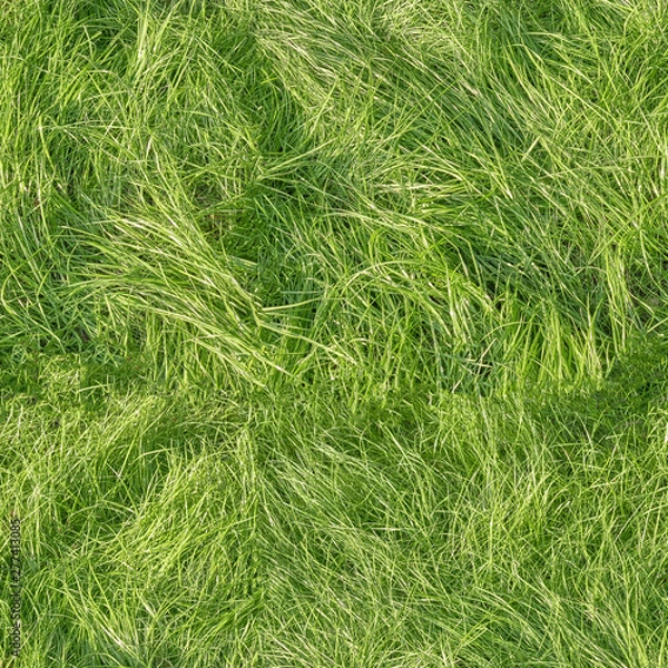 Fototapeta green grass with uncut plants seamless square pattern background top down view of lawn meadow texture for design natural color hi resolution photo for wallpaper design template