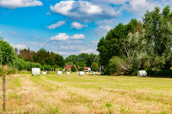 Obraz wrapped round hay bales
