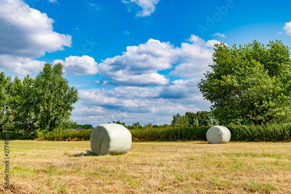 Obraz wrapped round hay bales