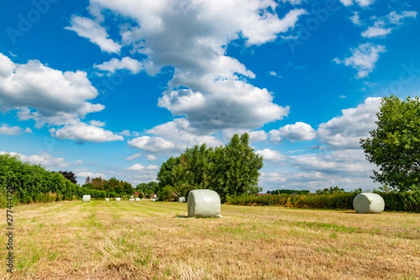 Obraz wrapped round hay bales