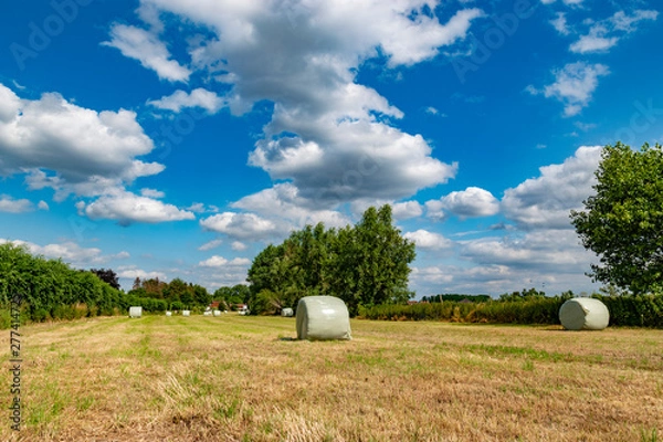 Obraz wrapped round hay bales