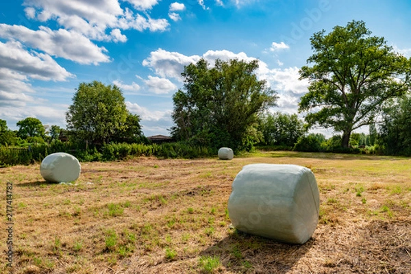 Obraz wrapped round hay bales