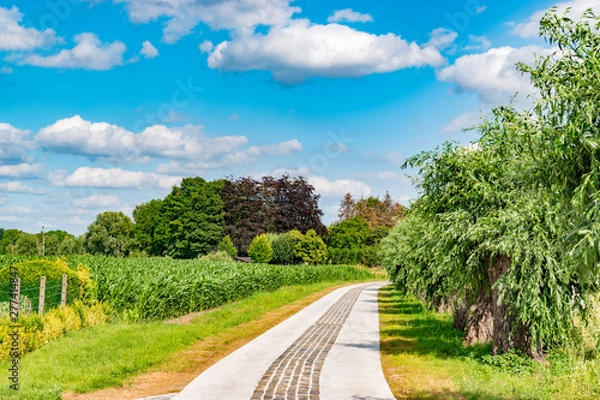 Obraz country cobble road