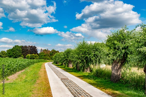 Obraz country cobble road