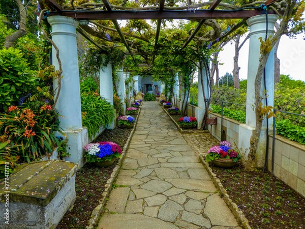 Obraz italian garden 