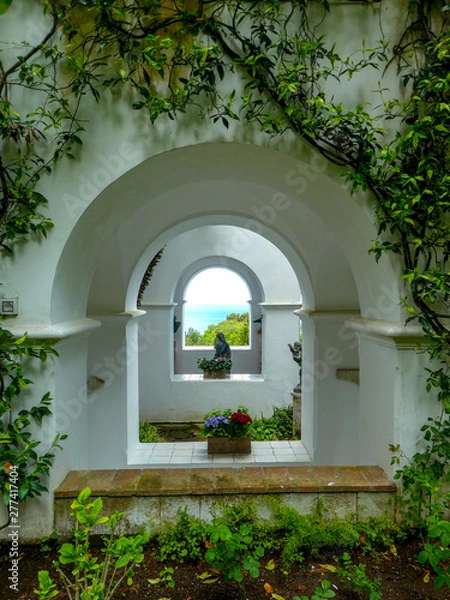 Obraz window with flowers