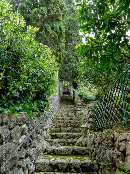 Obraz path in garden