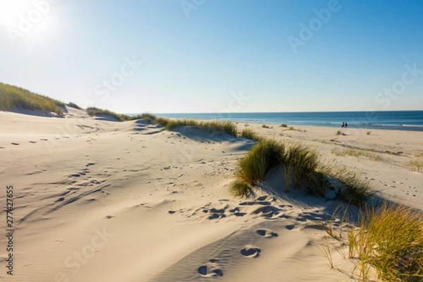 Fototapeta Czołpino wydma wydmy morze bałtyckie bałtyk piasek plaża