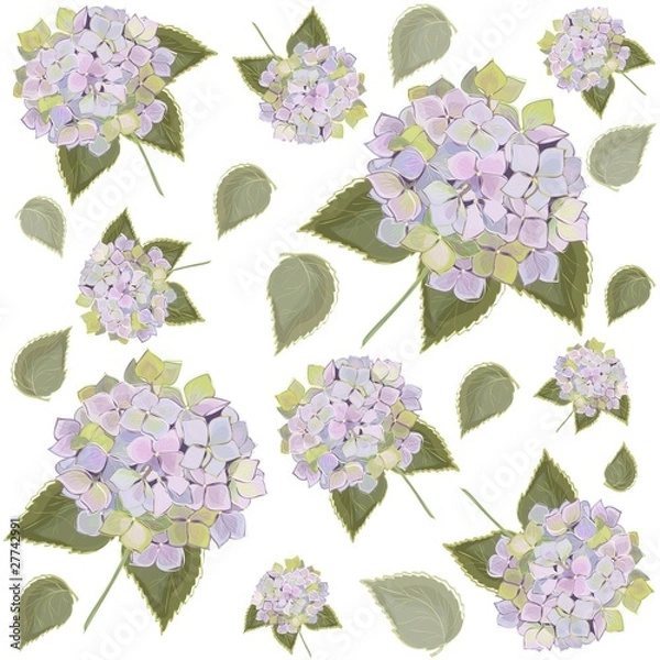 Fototapeta Background. Hydrangea.