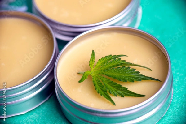 Fototapeta Cannabis salve with hemp and CBD oil on green background